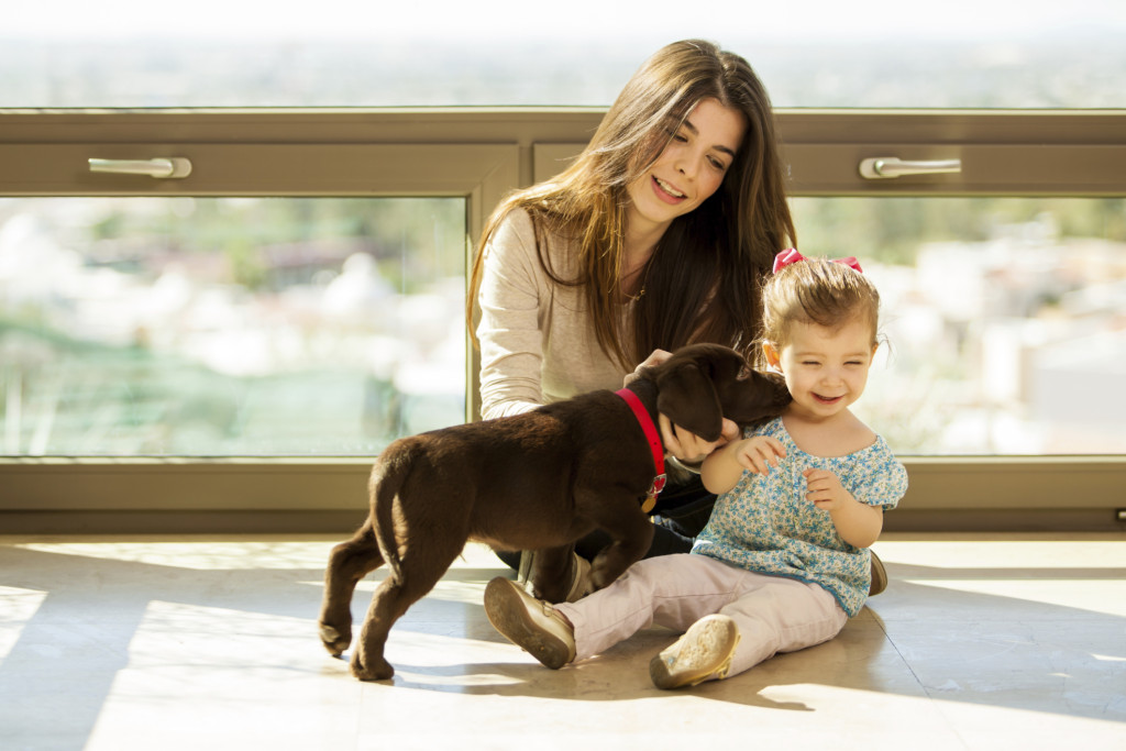 Cute puppy kissing a little girl